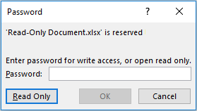 Make file Read-Only Enter Password