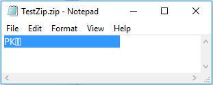 Open Zip folder in notepad