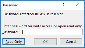 VBA File Protection - Write Protection