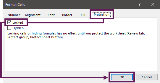 Protection Locked File