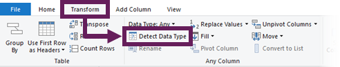 Transform - Detect Data Type