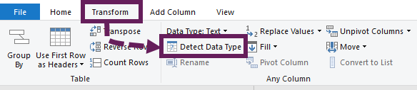 Transform - Detect Data Type