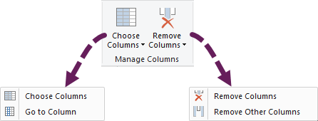 Manage Columns Section