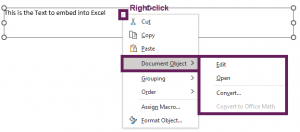 5 quick ways to embed a Word document in Excel