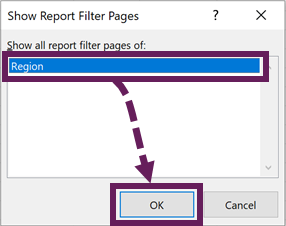 Show Report Filter Pages dialog box